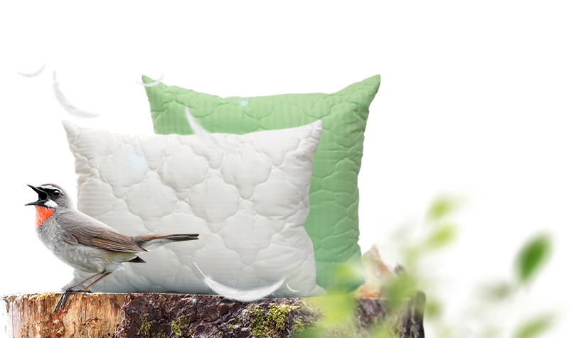 Колоссальный выбор